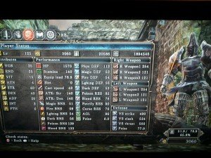 Dark Souls 2 Build